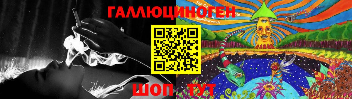 Псилоцибиновые грибы Psilocybe Октябрьский